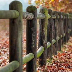 Tempora sint sit eum autem.